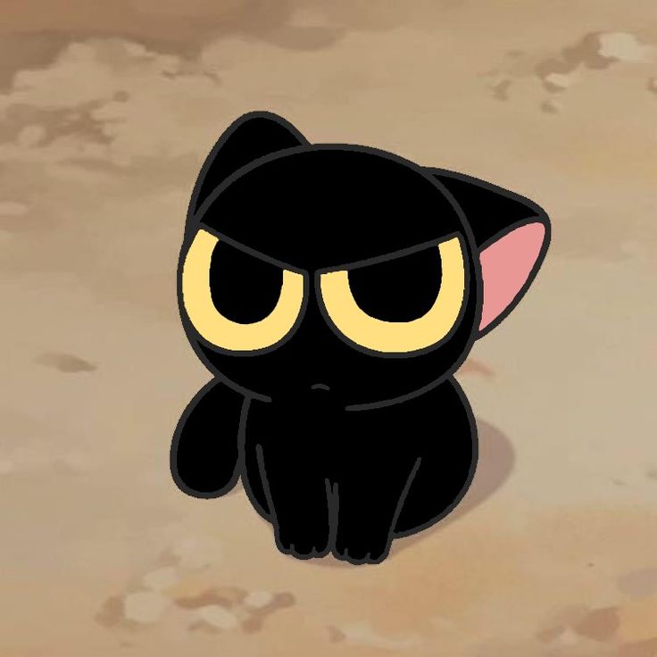 Mèo Đen Anime Bí Ẩn Cuốn Hút Đậm Chất Nghệ Thuật 6